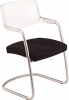 Freischwinger mit Plexiglas