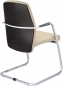 Freischwinger mit Holzr�cken