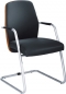 Freischwinger mit Holzr�cken