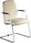 Freischwinger mit Holzr�cken