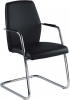 Passe Partout Leder Freischwinger